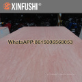 Contreplaqué professionnel de contreplaqué de 3.2mm Linyi city price price